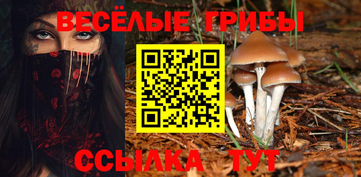 Галлюциногенные грибы Magic Shrooms Дзержинский
